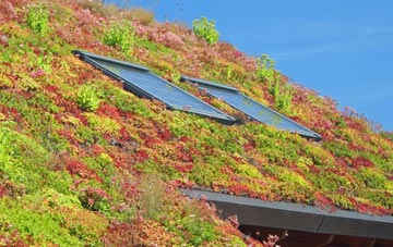 Much Hoole living roof systems