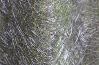 Much Hoole fibreglass roof work